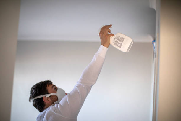 Reliable Frederick, OK Mold Remediation Solutions