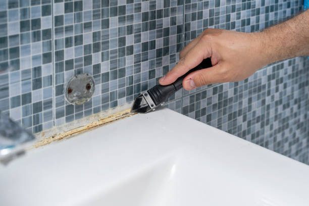Best Mold Remediation for Schools in Frederick, OK